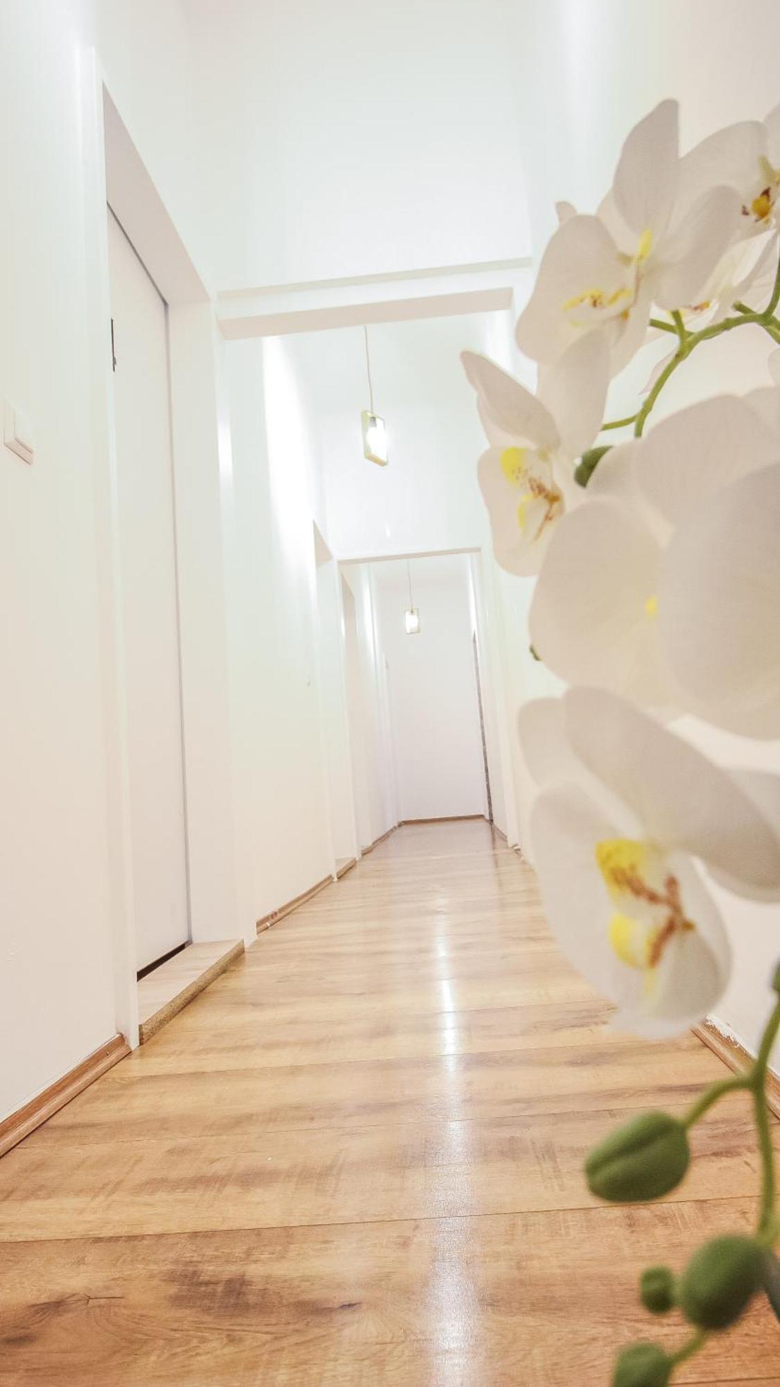 Comfortable Accommodations In The Alterlaa Area Lv6 Wien Eksteriør bilde